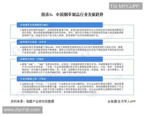 广州排球队实力分析与未来发展潜力的深度探讨