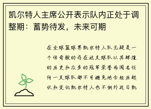 凯尔特人主席公开表示队内正处于调整期：蓄势待发，未来可期